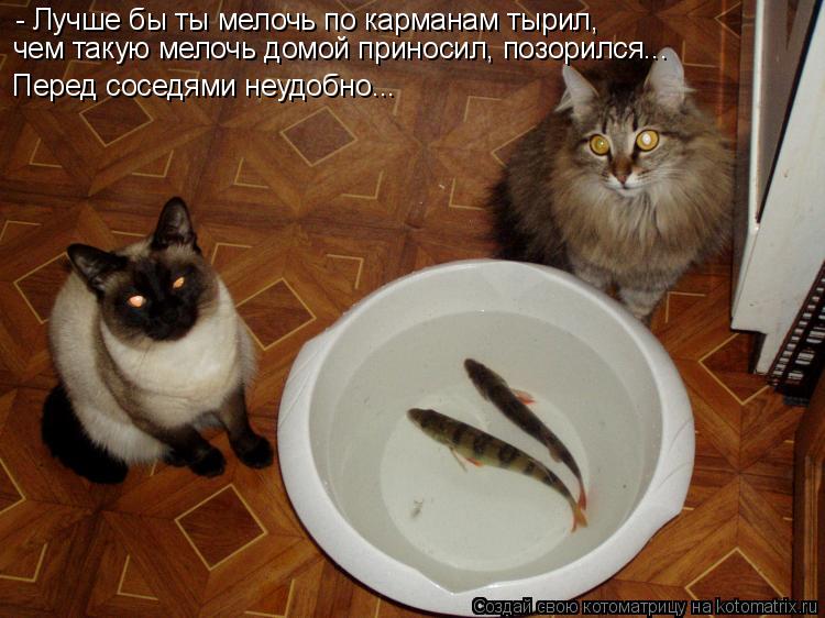 - Лучше бы ты мелочь по карманам тырил, чем такую мелочь домой приносил, позорился... Перед соседями ... Котоматрица: - Лучше бы ты мелочь по карманам тырил, чем такую мелочь домой приносил, позорился... Перед соседями неудобно...