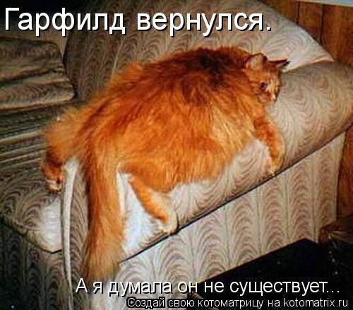 Гарфилд вернулся. А я думала он не существует...... Котоматрица: Гарфилд вернулся. А я думала он не существует...