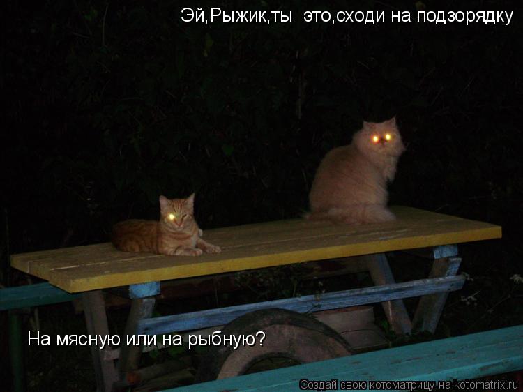 Эй,Рыжик,ты это,сходи на подзорядку На мясную или на рыбную?... Котоматрица: Эй,Рыжик,ты это,сходи на подзорядку На мясную или на рыбную?