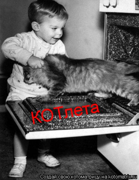 КОТлета... Котоматрица: КОТлета
