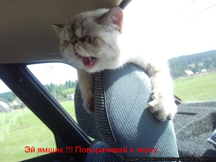 Эй ямщик !!! Поворачивай к черту...... Котоматрица: Эй ямщик !!! Поворачивай к черту...