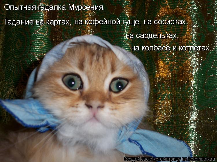 Опытная гадалка Мурсения. Гадание на картах, на кофейной гуще, на сосисках на сардельках, на колбас... Котоматрица: Опытная гадалка Мурсения. Гадание на картах, на кофейной гуще, на сосисках на сардельках, на колбасе и котлетах.
