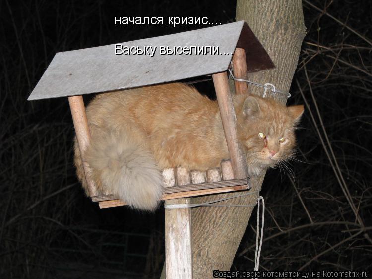 начался кризис.... Ваську выселили....... Котоматрица: начался кризис.... Ваську выселили....