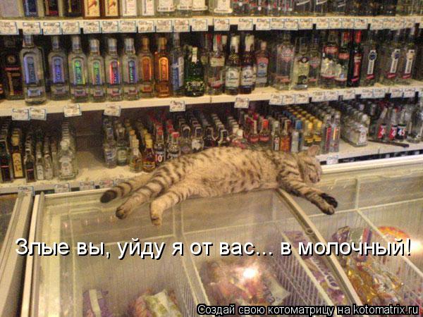 Котоматрица: Злые вы, уйду я от вас... в молочный!