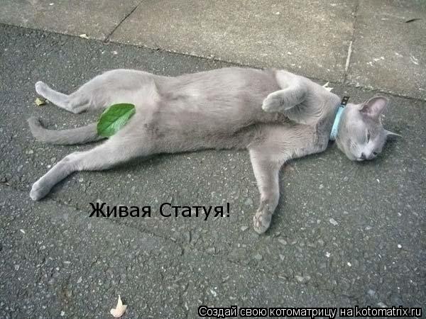 Живая Статуя!... Котоматрица: Живая Статуя!
