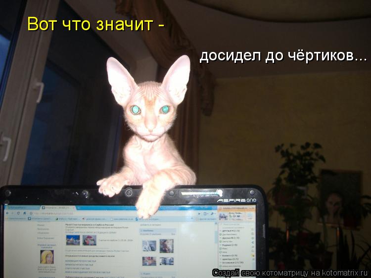 Вот что значит - досидел до чёртиков...... Котоматрица: Вот что значит - досидел до чёртиков...