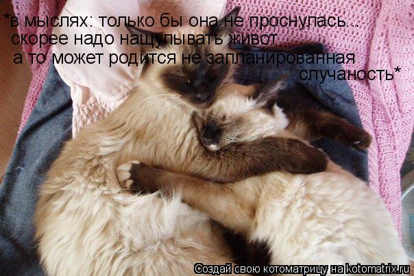 *в мыслях: только бы она не проснулась... скорее надо нащупывать живот а то может родится не запланир... Котоматрица: *в мыслях: только бы она не проснулась... скорее надо нащупывать живот а то может родится не запланированная случаность*