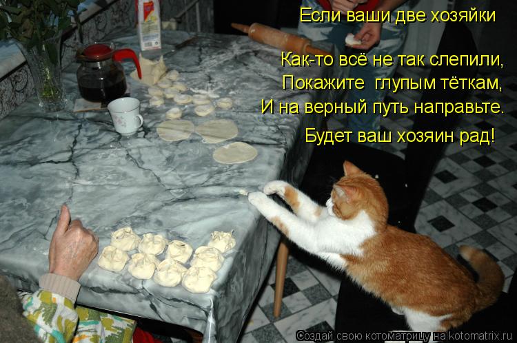 Если ваши две хозяйки Как-то всё не так слепили, Покажите глупым тёткам, И на верный путь направьте... Котоматрица: Если ваши две хозяйки Как-то всё не так слепили, Покажите глупым тёткам, И на верный путь направьте. Будет ваш хозяин рад!