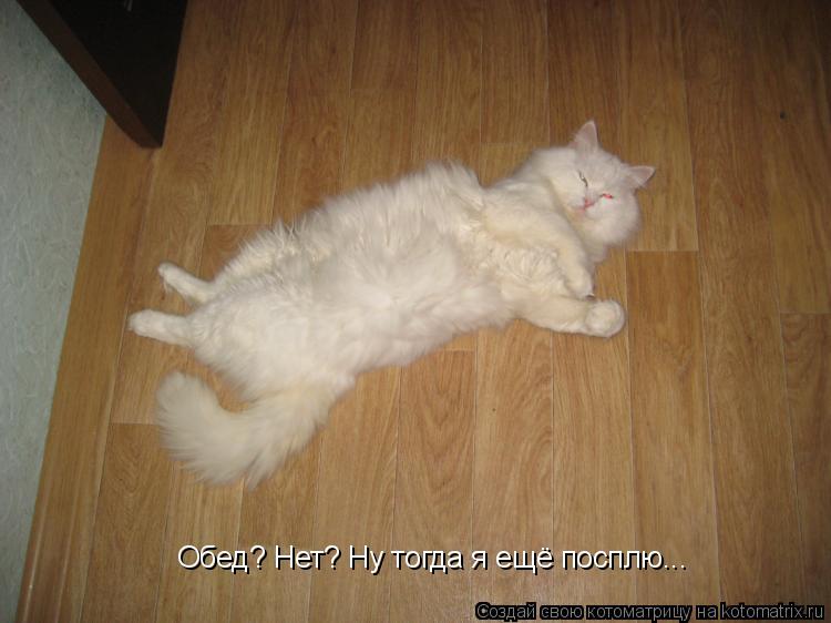 Обед? Нет? Ну тогда я ещё посплю...... Котоматрица: Обед? Нет? Ну тогда я ещё посплю...