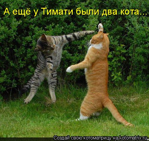 А ещё у Тимати были два кота...... Котоматрица: А ещё у Тимати были два кота...