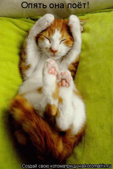Опять она поёт!... Котоматрица: Опять она поёт!