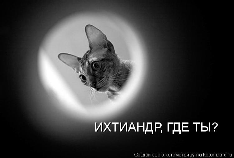 ИХТИАНДР, ГДЕ ТЫ?... Котоматрица: ИХТИАНДР, ГДЕ ТЫ?