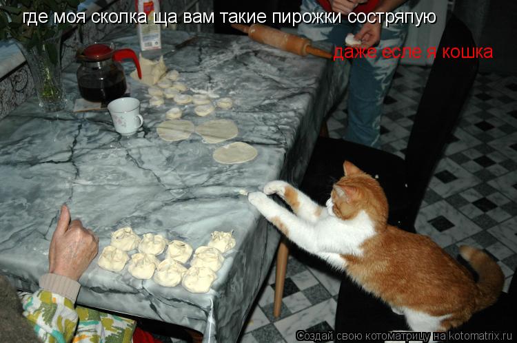 где моя сколка ща вам такие пирожки состряпую даже есле я кошка... Котоматрица: где моя сколка ща вам такие пирожки состряпую даже есле я кошка