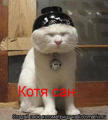 Котя сан... Котоматрица: Котя сан