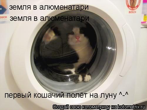земля в алюменатари земля в алюменатари первый кошачий полёт на луну ^-^... Котоматрица: земля в алюменатари земля в алюменатари первый кошачий полёт на луну ^-^