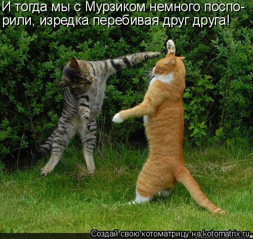И тогда мы с Мурзиком немного поспо- рили, изредка перебивая друг друга!... Котоматрица: И тогда мы с Мурзиком немного поспо- рили, изредка перебивая друг друга!