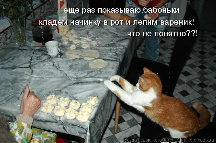 еще раз показываю,бабоньки кладем начинку в рот и лепим вареник! что не понятно??!... Котоматрица: еще раз показываю,бабоньки кладем начинку в рот и лепим вареник! что не понятно??!