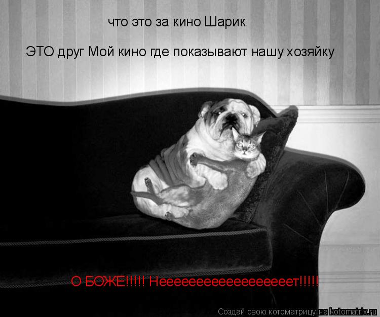 что это за кино Шарик ЭТО друг Мой кино где показывают нашу хозяйку О БОЖЕ!!!!! Неееееееееееееееееет!... Котоматрица: что это за кино Шарик ЭТО друг Мой кино где показывают нашу хозяйку О БОЖЕ!!!!! Неееееееееееееееееет!!!!!