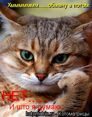 Хммммммм......обману а потом: НЕТ ..... И што я думаю...... Котоматрица: Хммммммм......обману а потом: НЕТ ..... И што я думаю...