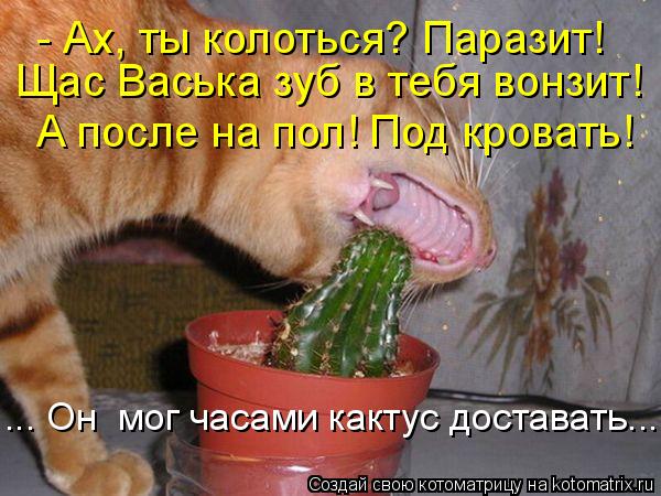 - Ах, ты колоться? Паразит! Щас Васька зуб в тебя вонзит! А после на пол! Под кровать! ... Он мог ча... Котоматрица: - Ах, ты колоться? Паразит! Щас Васька зуб в тебя вонзит! А после на пол! Под кровать! ... Он мог часами кактус доставать...