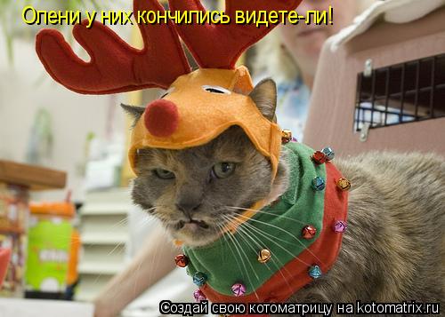 Олени у них кончились видете-ли!... Котоматрица: Олени у них кончились видете-ли!