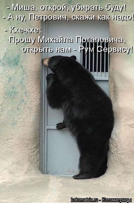 - Миша, открой, убирать буду! - А ну, Петрович, скажи как надо! - Кхе-кхе: Прошу Михайла Потаповича,... Котоматрица: - Миша, открой, убирать буду! - А ну, Петрович, скажи как надо! - Кхе-кхе: Прошу Михайла Потаповича, открыть нам - Рум Сервису!