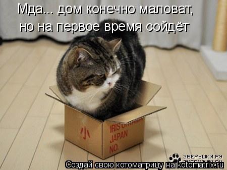 Мда... дом конечно маловат, но на первое время сойдёт... Котоматрица: Мда... дом конечно маловат, но на первое время сойдёт
