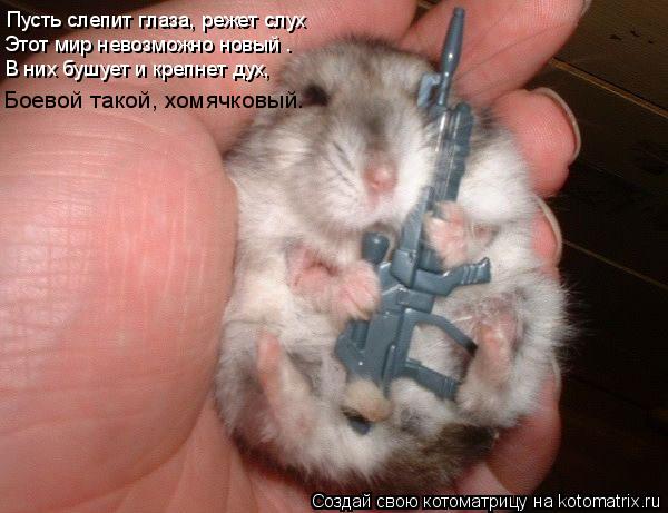 Пусть слепит глаза, режет слух Этот мир невозможно новый – В них бушует и крепнет дух, Боевой такой, ... Котоматрица: Пусть слепит глаза, режет слух Этот мир невозможно новый – В них бушует и крепнет дух, Боевой такой, хомячковый.