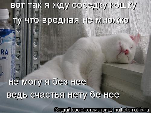 ту что вредная не множко не могу я без нее ведь счастья нету бе нее вот так я жду соседку кошку... Котоматрица: ту что вредная не множко не могу я без нее ведь счастья нету бе нее вот так я жду соседку кошку