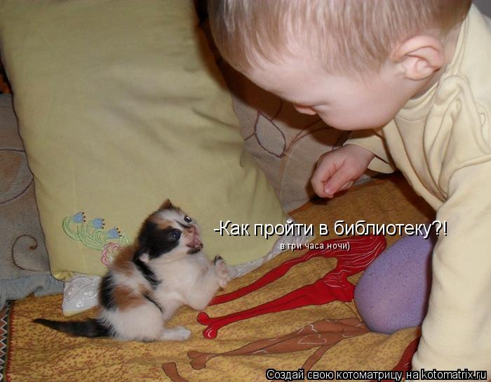 -Как пройти в библиотеку?! в три часа ночи)... Котоматрица: -Как пройти в библиотеку?! в три часа ночи)