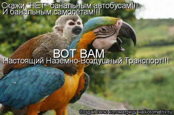 Настоящий Наземно-Воздушный Транспорт!!! Скажи "НЕТ" банальным автобусам!!! ВОТ ВАМ И банальным самол... Котоматрица: Настоящий Наземно-Воздушный Транспорт!!! Скажи "НЕТ" банальным автобусам!!! ВОТ ВАМ И банальным самолётам!!!