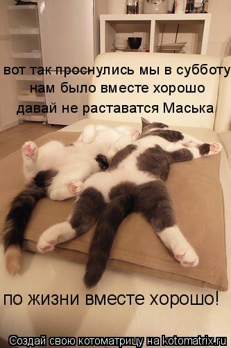 вот так проснулись мы в субботу нам было вместе хорошо давай не раставатся Маська по жизни вместе хо... Котоматрица: вот так проснулись мы в субботу нам было вместе хорошо давай не раставатся Маська по жизни вместе хорошо!