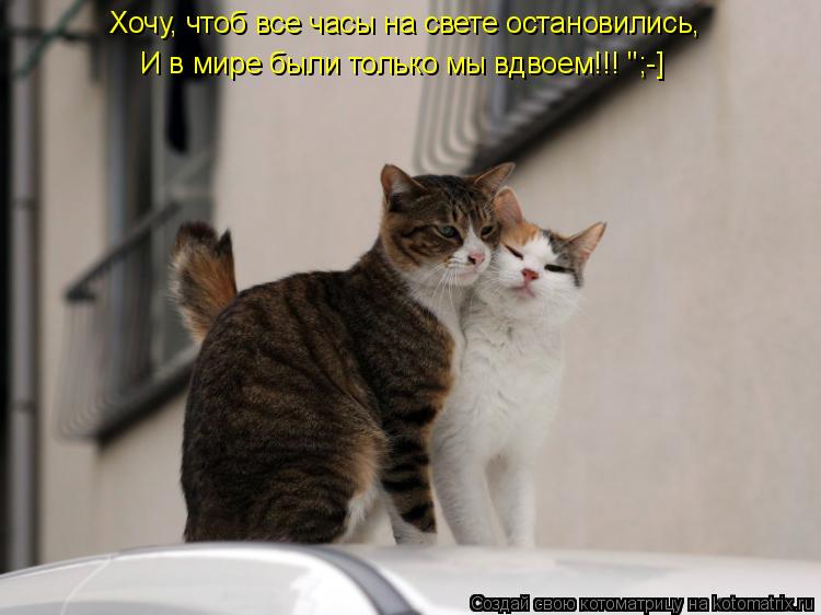 Котоматрица: Хочу, чтоб все часы на свете остановились,  И в мире были только мы вдвоем!!! ";-]