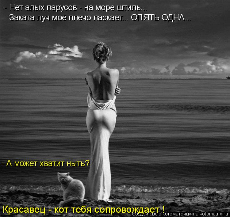 - Нет алых парусов - на море штиль... Заката луч моё плечо ласкает... ОПЯТЬ ОДНА... Красавец - кот те... Котоматрица: - Нет алых парусов - на море штиль... Заката луч моё плечо ласкает... ОПЯТЬ ОДНА... Красавец - кот тебя сопровождает ! - А может хватит ныть?