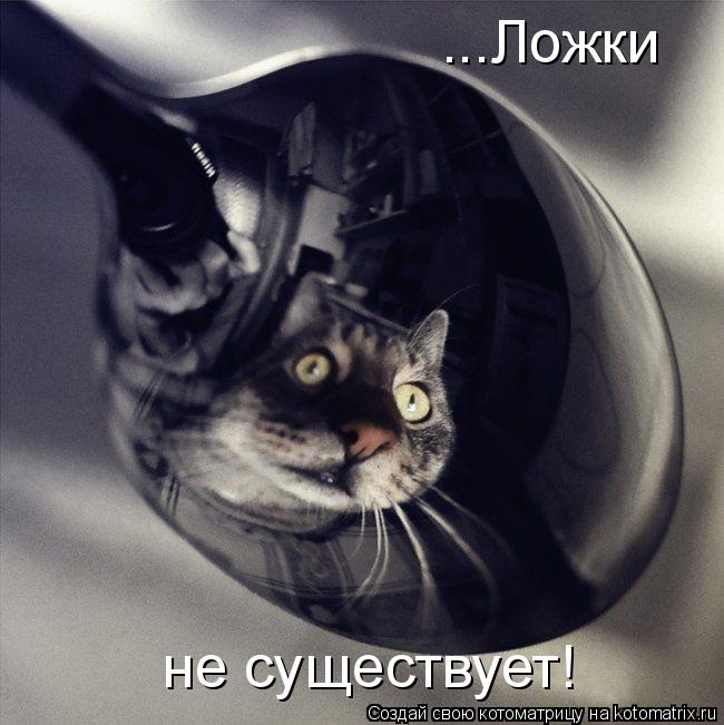 ...Ложки не существует!... Котоматрица: ...Ложки не существует!
