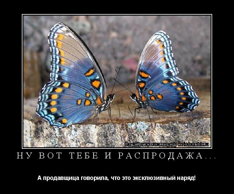 Ну вот тебе и распродажа... А продавщица говорила, что это эксклюзивный наряд!... Котоматрица: Ну вот тебе и распродажа... А продавщица говорила, что это эксклюзивный наряд!