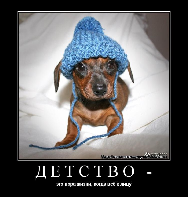 Котоматрица: Детство -  это пора жизни, когда всё к лицу