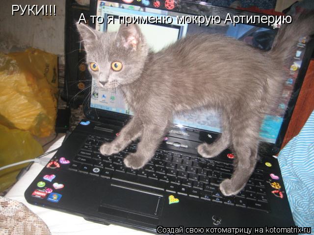 РУКИ!!! А то я применю мокрую Артилерию... Котоматрица: РУКИ!!! А то я применю мокрую Артилерию