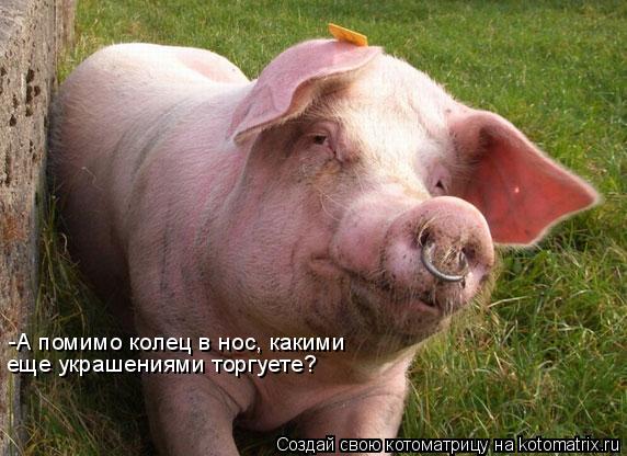 -А помимо колец в нос, какими еще украшениями торгуете?... Котоматрица: -А помимо колец в нос, какими еще украшениями торгуете?