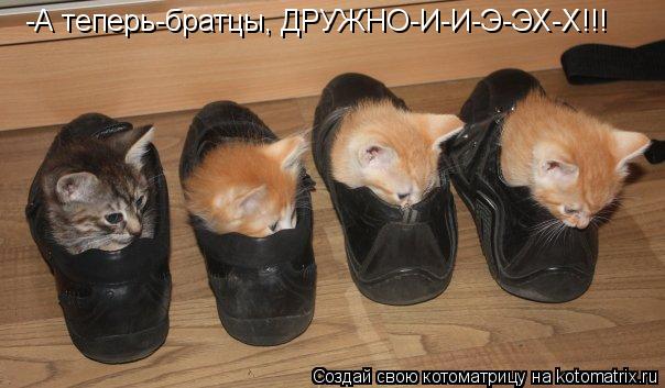 -А теперь-братцы, ДРУЖНО-И-И-Э-ЭХ-Х!!!... Котоматрица: -А теперь-братцы, ДРУЖНО-И-И-Э-ЭХ-Х!!!