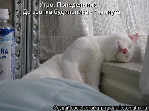 Утро. Понедельник. До звонка будильника - 1 минута.... Котоматрица: Утро. Понедельник. До звонка будильника - 1 минута.