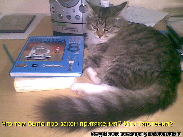 Что там было про закон притяжения? Или тяготения?... Котоматрица: Что там было про закон притяжения? Или тяготения?