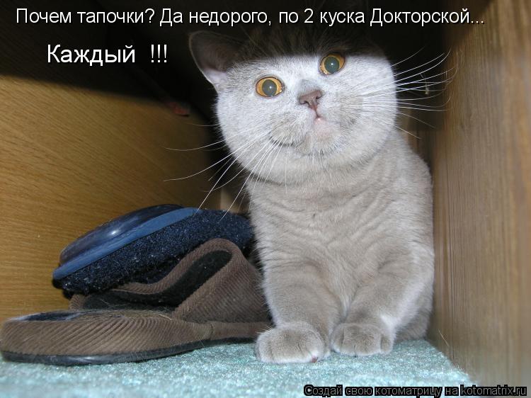 Котоматрица: Почем тапочки? Да недорого, по 2 куска Докторской...  Каждый  !!!