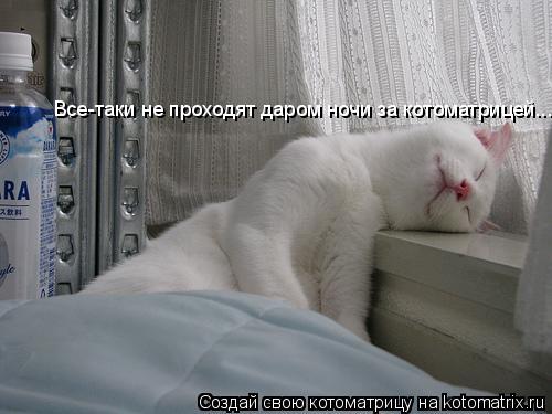 Все-таки не проходят даром ночи за котоматрицей...... Котоматрица: Все-таки не проходят даром ночи за котоматрицей...