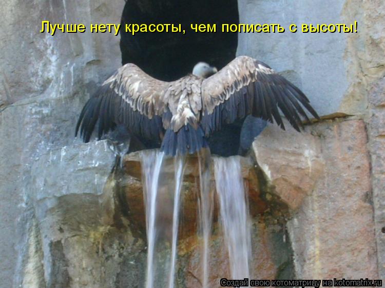 Лучше нету красоты, чем пописать с высоты!... Котоматрица: Лучше нету красоты, чем пописать с высоты!