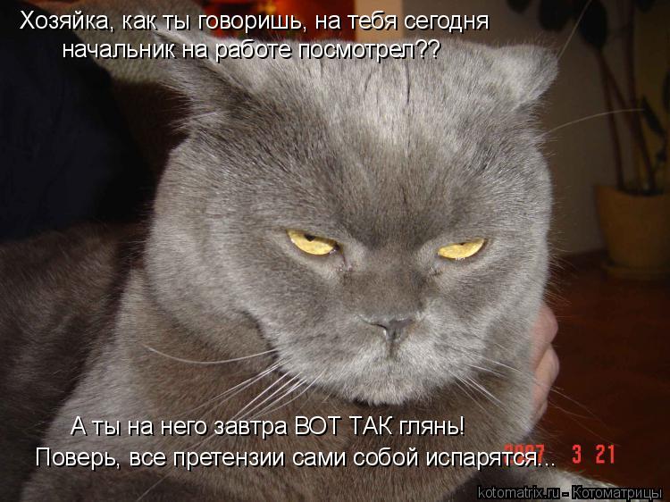 Хозяйка, как ты говоришь, на тебя сегодня начальник на работе посмотрел?? А ты на него завтра ВОТ ТАК... Котоматрица: Хозяйка, как ты говоришь, на тебя сегодня начальник на работе посмотрел?? А ты на него завтра ВОТ ТАК глянь! Поверь, все претензии сами собой