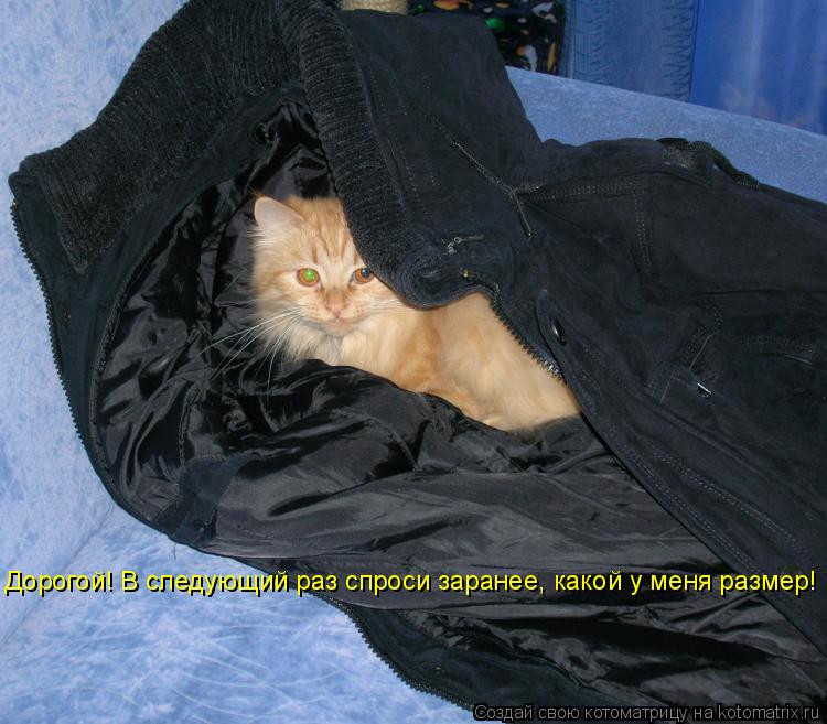 Дорогой! В следующий раз спроси заранее, какой у меня размер!... Котоматрица: Дорогой! В следующий раз спроси заранее, какой у меня размер!