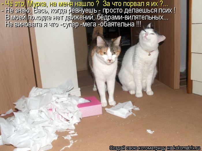 - Не знаю, Вась, когда ревнуешь - просто делаешься псих ! В моей походке нет движений, бёдрами-виляте... Котоматрица: - Не знаю, Вась, когда ревнуешь - просто делаешься псих ! В моей походке нет движений, бёдрами-вилятельных... Не виновата я что -супер -мега -оба