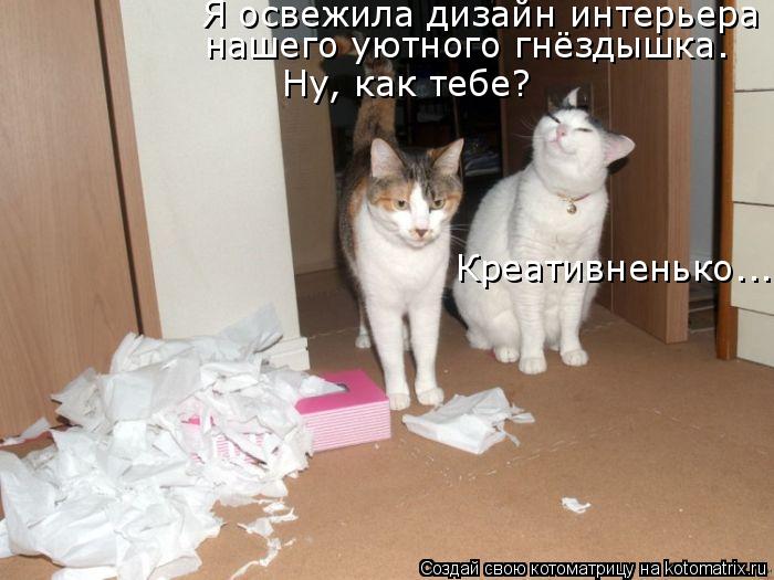 Я освежила дизайн интерьера нашего уютного гнёздышка. Ну, как тебе? Креативненько...... Котоматрица: Я освежила дизайн интерьера нашего уютного гнёздышка. Ну, как тебе? Креативненько...