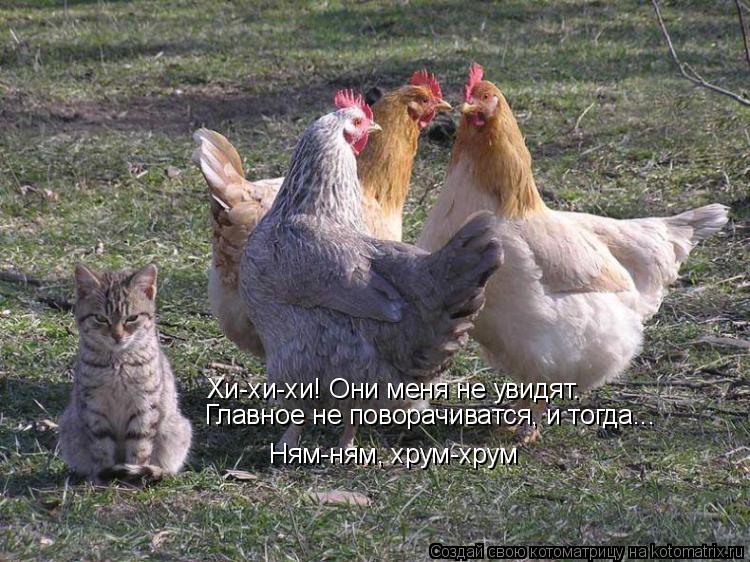 Хи-хи-хи! Они меня не увидят.Главное не поворачиватся, и тогда... Хи-хи-хи! Они меня не увидят. Главн... Котоматрица: Хи-хи-хи! Они меня не увидят.Главное не поворачиватся, и тогда... Хи-хи-хи! Они меня не увидят. Главное не поворачиватся, и тогда... Ням-ням, хрум-